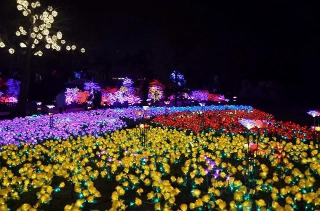 万岁山夜场怎么逛好看点 万岁山夜场怎么逛好看点儿