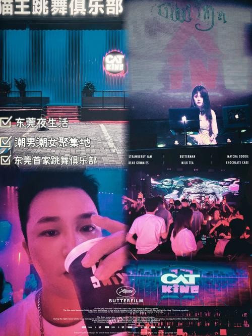 东莞演艺夜场在哪里 东莞演艺吧