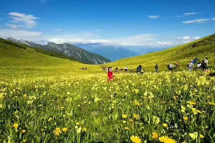 九顶山夜场票价多少钱 九顶山风景区门票多少钱2020