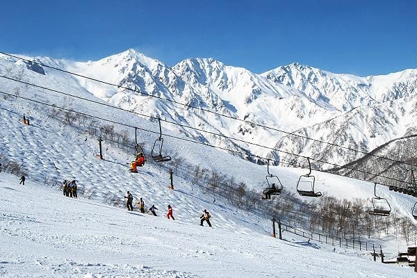 八方尾根有夜场多少钱 八方尾根滑雪场