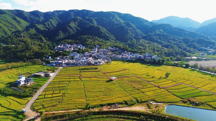 凤庆勐佑哪里夜场好玩 凤庆勐佑哪里夜场好玩点