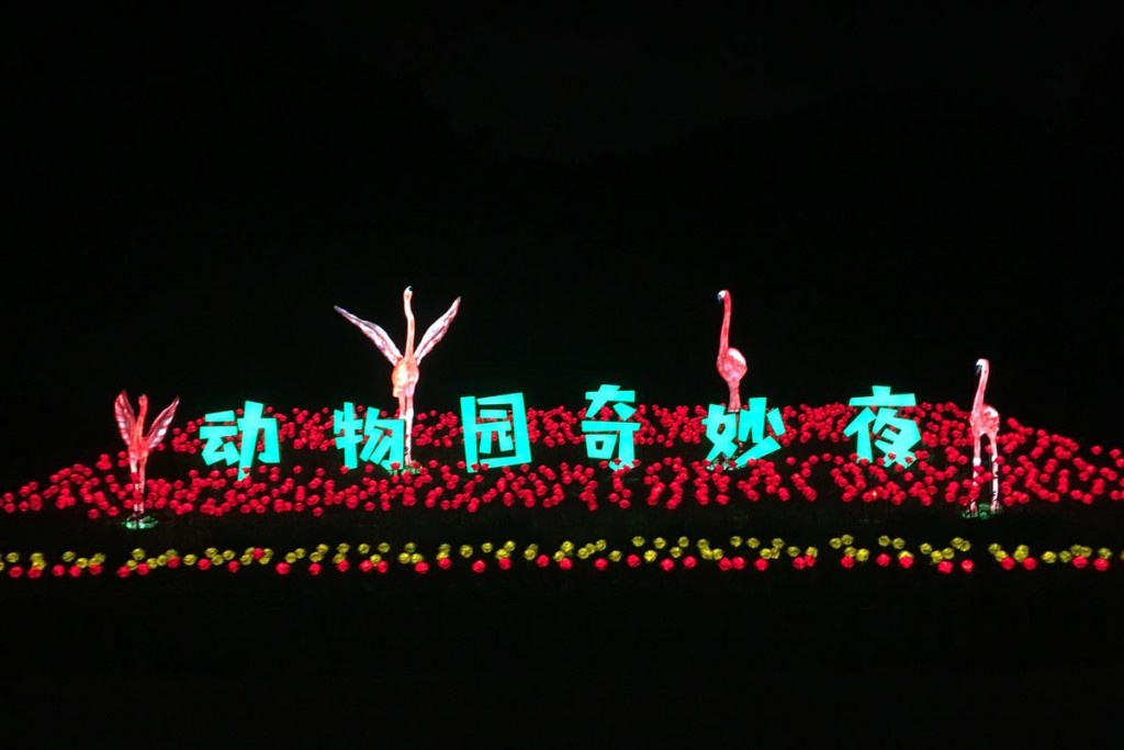 动物园夜场有什么 野生动物园夜场