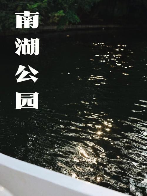 南湖划船夜场价格多少 南湖可以划船吗