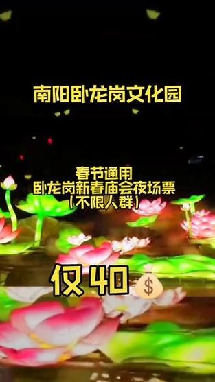 卧龙岗庙会夜场票多少钱 卧龙岗庙会夜场票多少钱一张