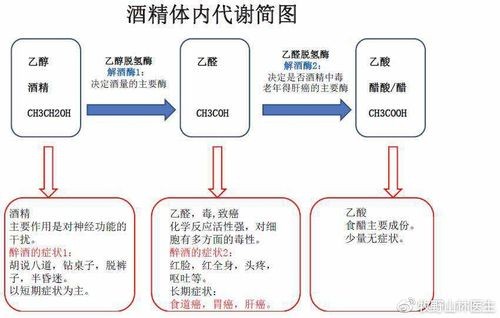 在夜场上班酒量怎么算好 在夜场上班天天喝酒要注意什么