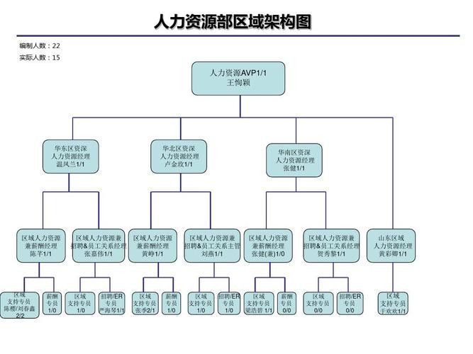 夜场人力架构图怎么做 夜场人力架构图怎么做的