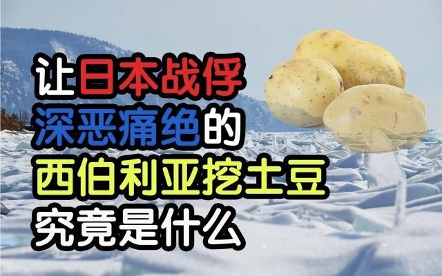 夜场土豆是什么意思