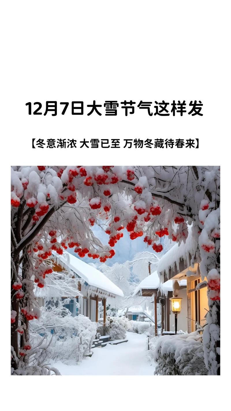 夜场大雪文案怎么写好 夜场的文案