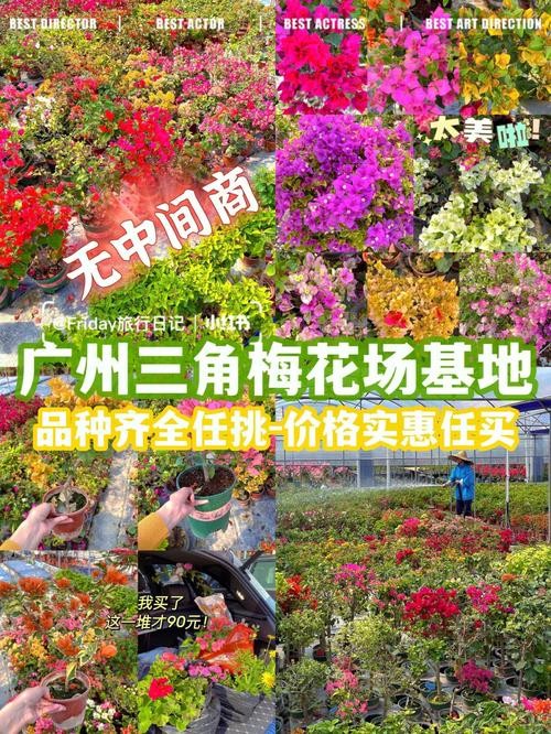 夜场花场怎么拍照好看呢 花场跟夜场的区别