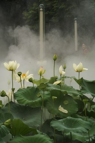 夜场雾里看花怎么玩好玩 夜场雾里看花怎么玩好玩一点