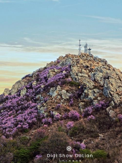 大连大黑山夜场从哪里进 大连大黑山夜场从哪里进入