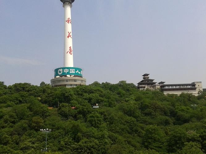 小龟山有夜场吗多少钱 小龟山要门票吗