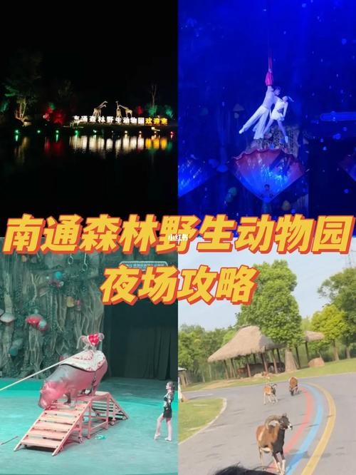 扬州夜场动物园门票多少 扬州夜场动物园门票多少钱一张