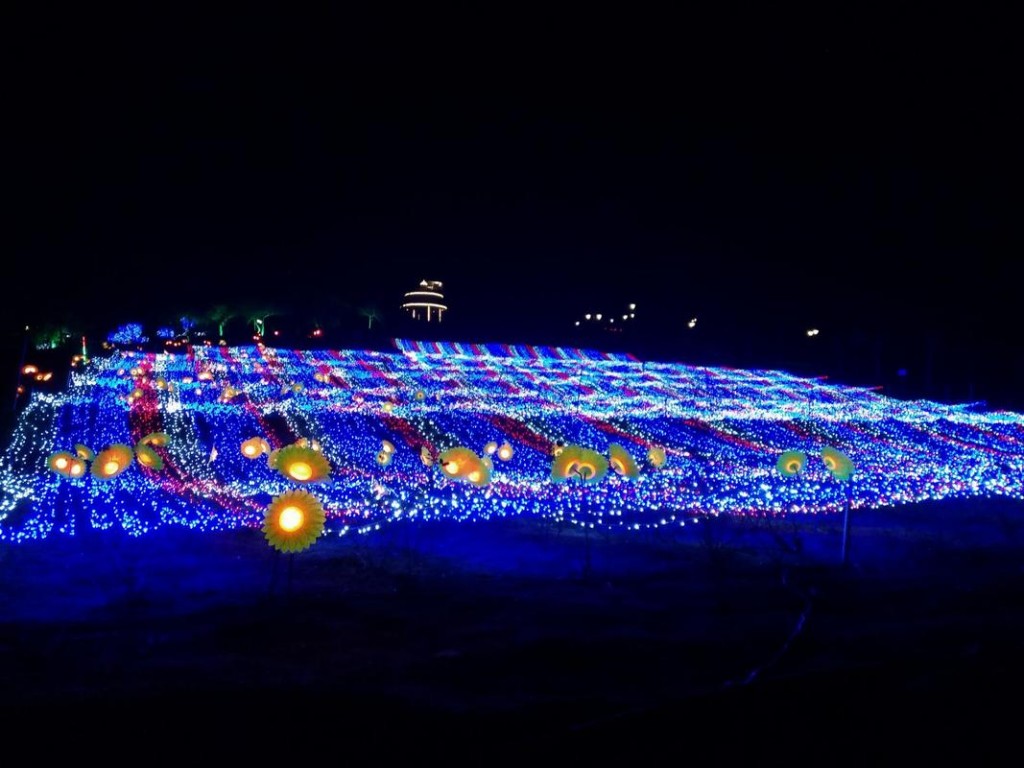 朱山夜场从哪里买票进去 朱山有夜景吗