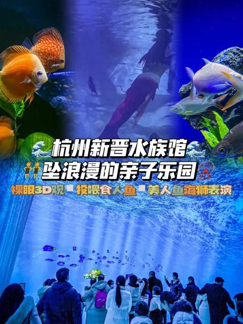 杭州水族馆夜场在哪里 杭州哪个水族馆最好