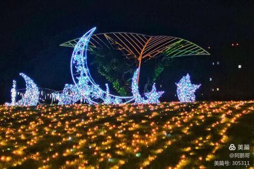 植物园夜场门票团购多少 植物园有夜景吗