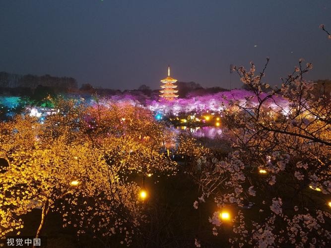 樱花园夜场在哪里啊 樱花园夜景区