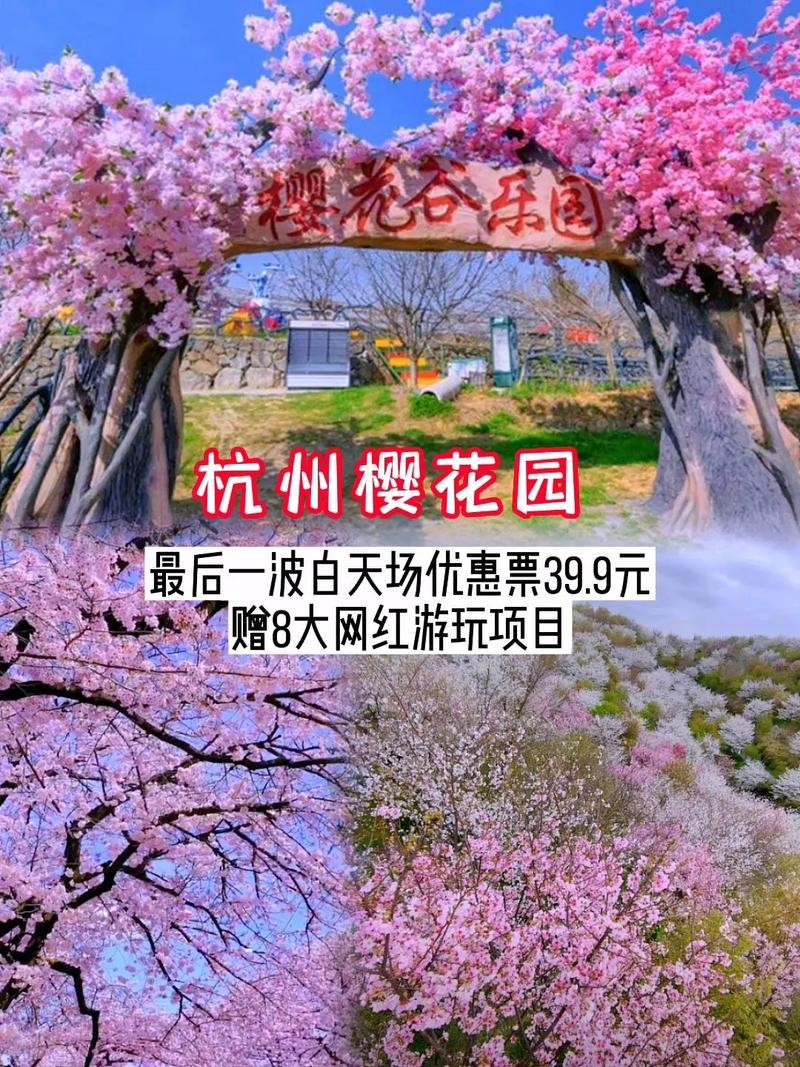 樱花园夜场票价多少钱 樱花园晚上几点关门